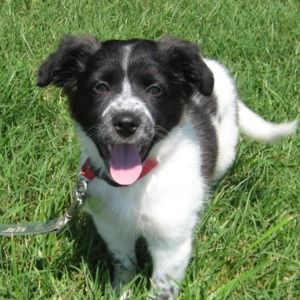 Meet your Posher, Grace